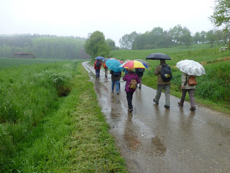 Landeswandertag