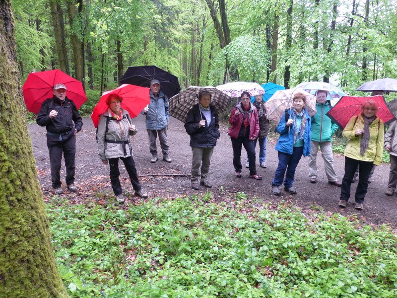 Landeswandertag