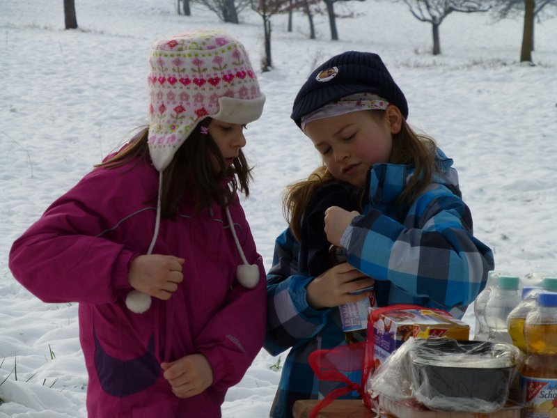 Christbaumsammelaktion
