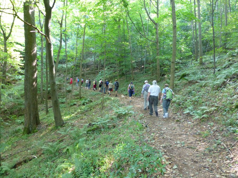 Wandern