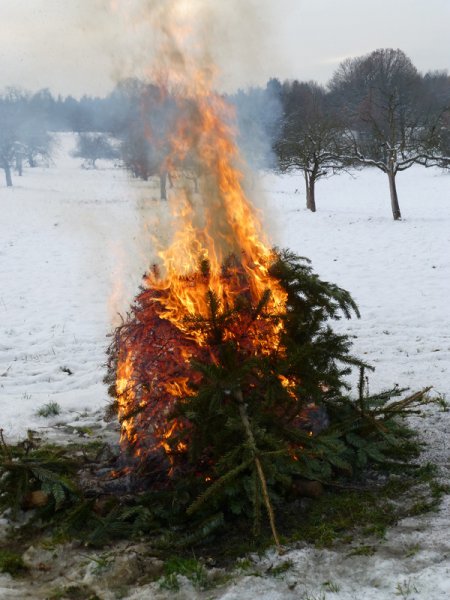 Christbaumsammelaktion
