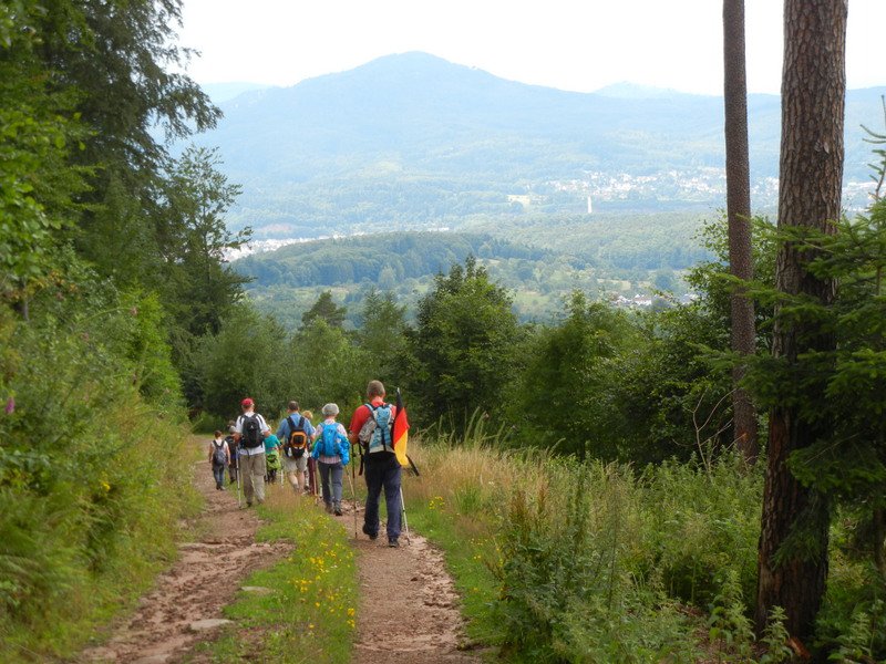 Bernsteinwanderung