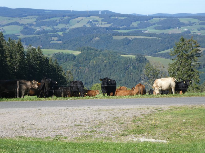 Wanderwochenende