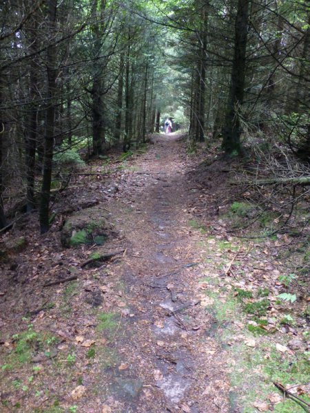 Bernsteinwanderung
