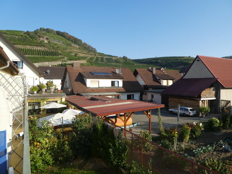 Kaiserstuhlwanderung