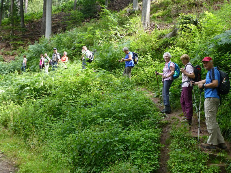 Bernsteinwanderung