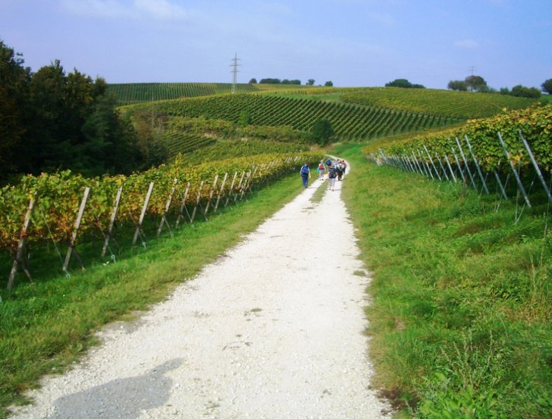 Wiiwegliimpressionen