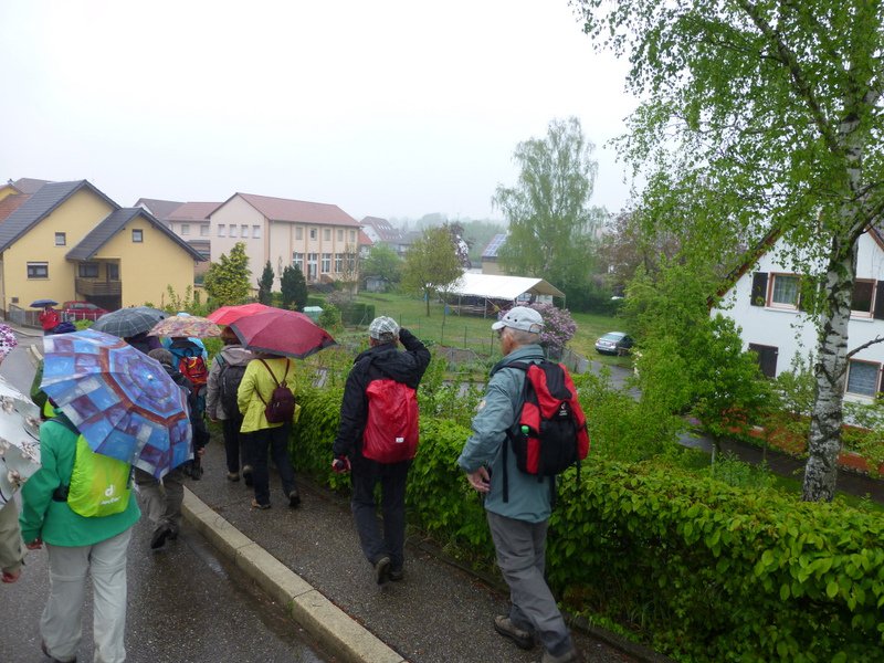 Landeswandertag