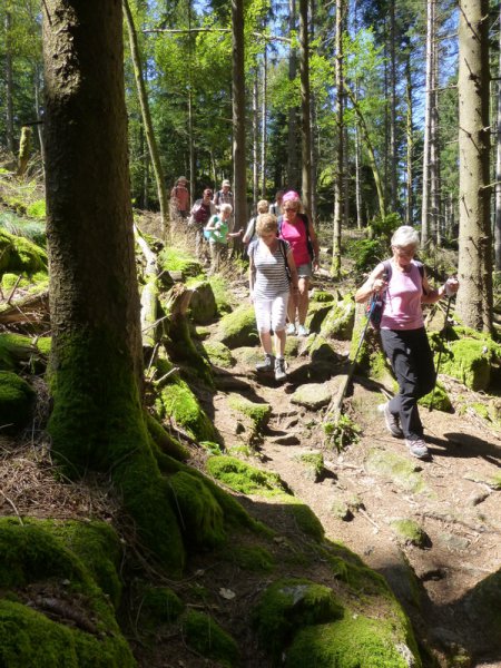 Sommerwanderung