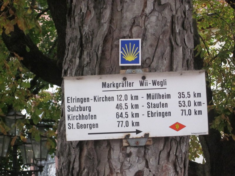 Wiiwegliimpressionen