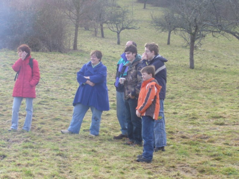 Christbaumsammelaktion