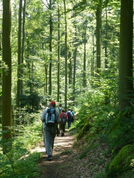 Sommerwanderung