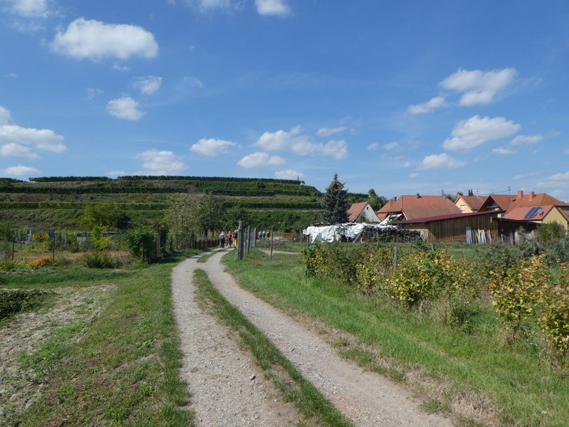 Kaiserstuhlwanderung