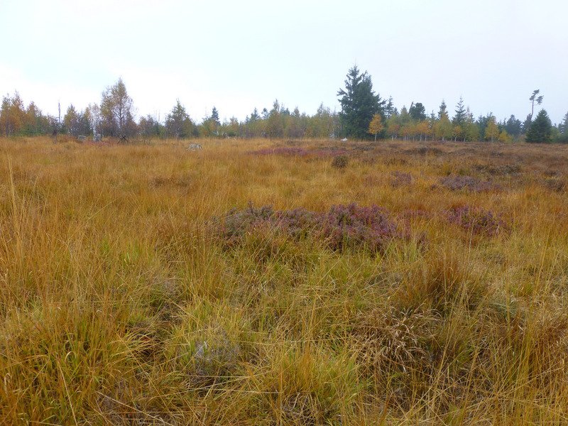 Herbstwanderung