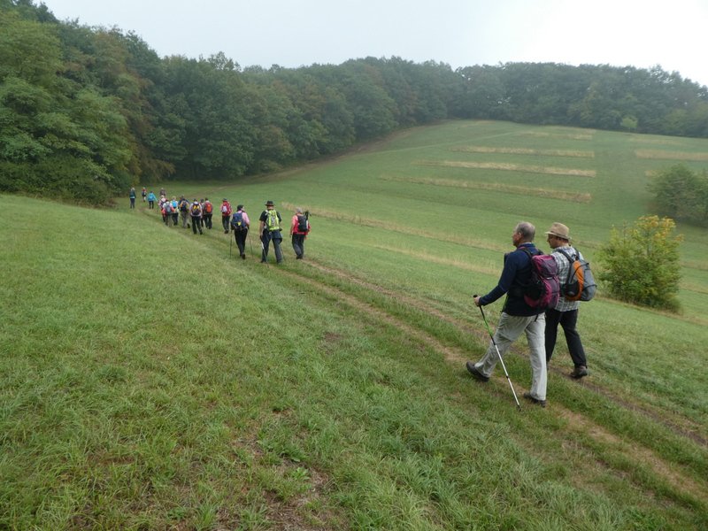 Kaiserstuhlwanderung