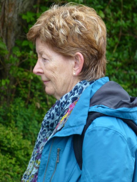 Landeswandertag