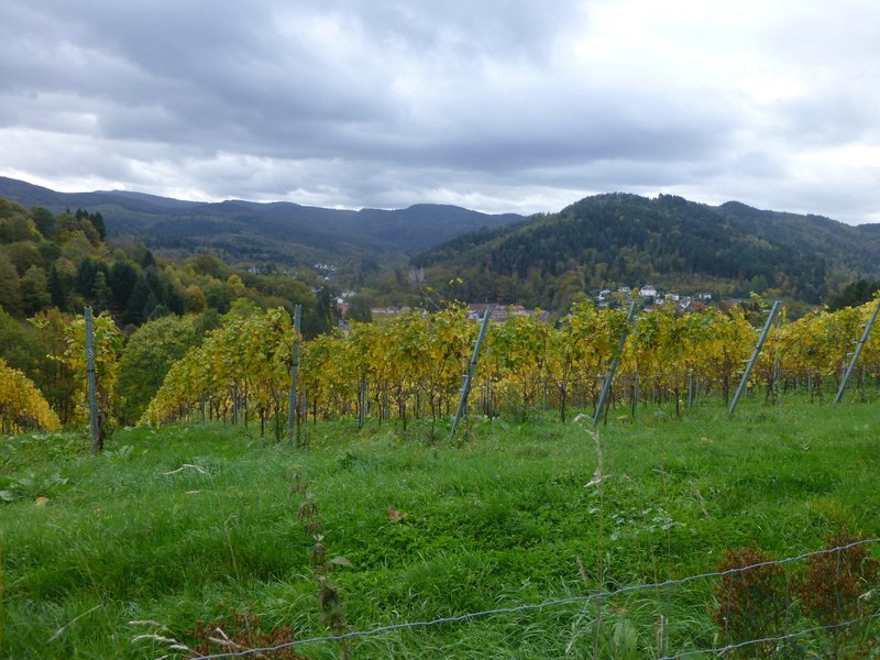 Herbstwanderung