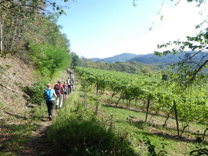 Kaiserstuhlwanderung