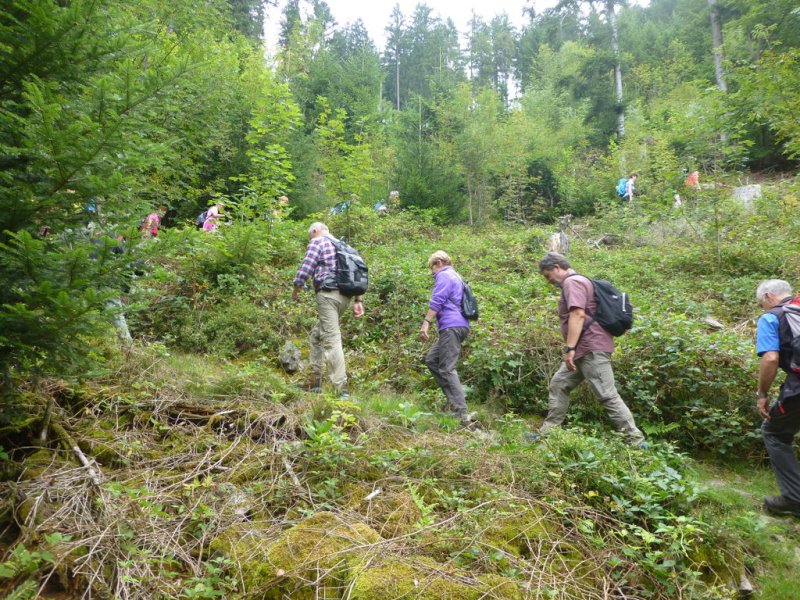 Sommerwanderung