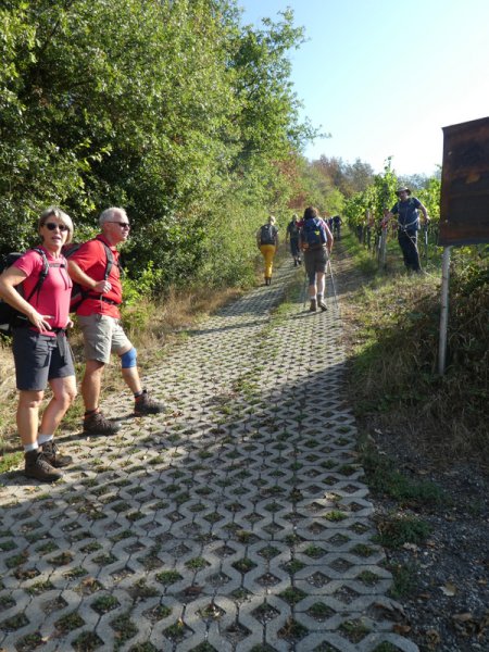Kaiserstuhlwanderung