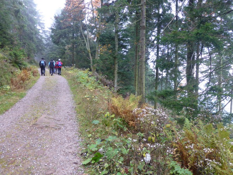 Herbstwanderung