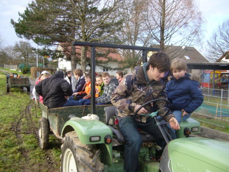 Christbaumsammelaktion