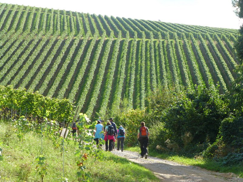 Gengenbach