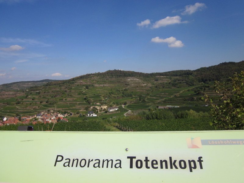 Kaiserstuhlwanderung