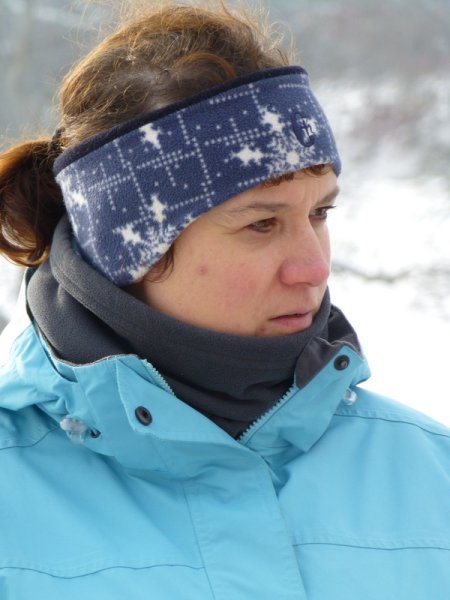 Christbaumsammelaktion