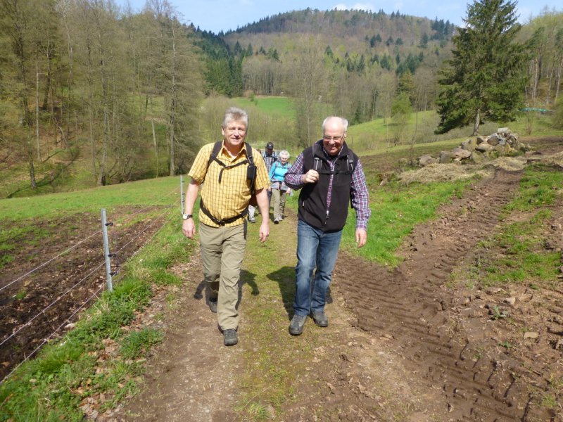 Wandern