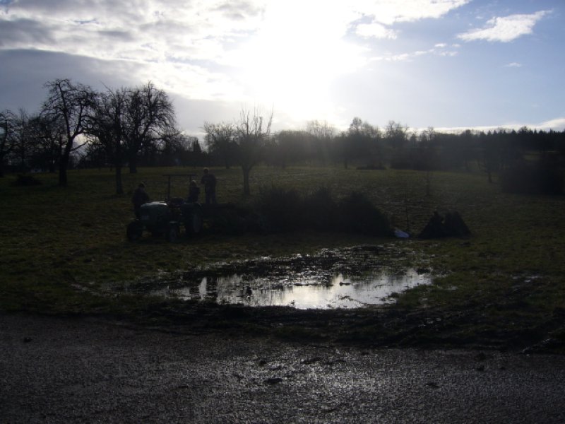 Christbaumsammelaktion