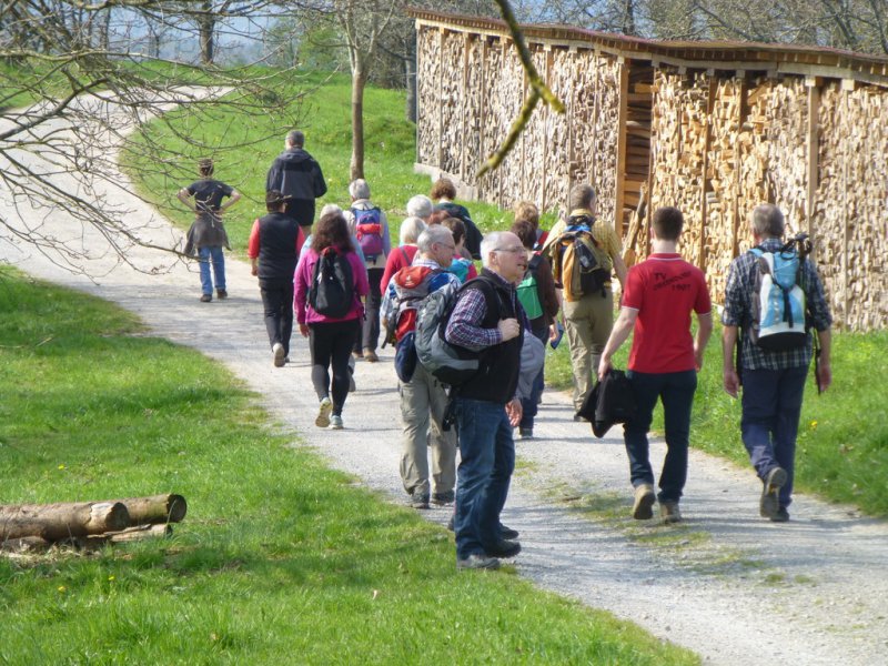 Wandern