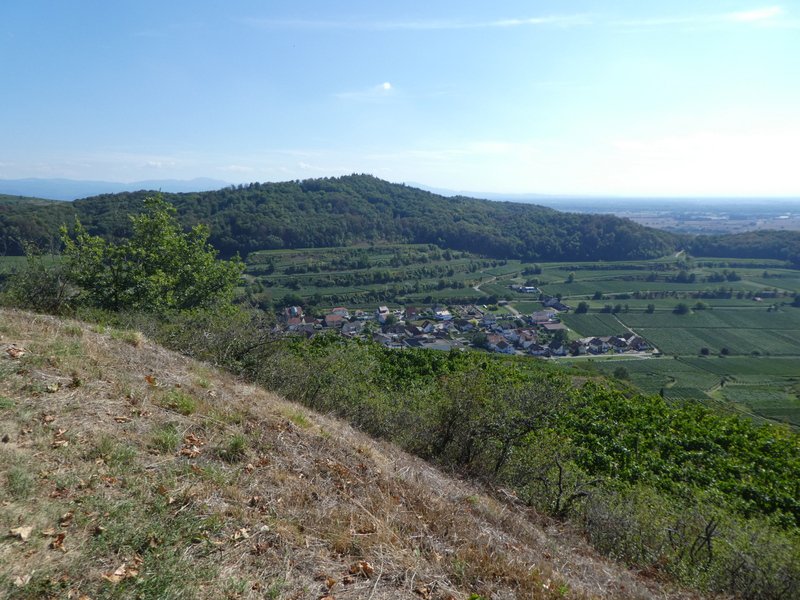 Kaiserstuhlwanderung