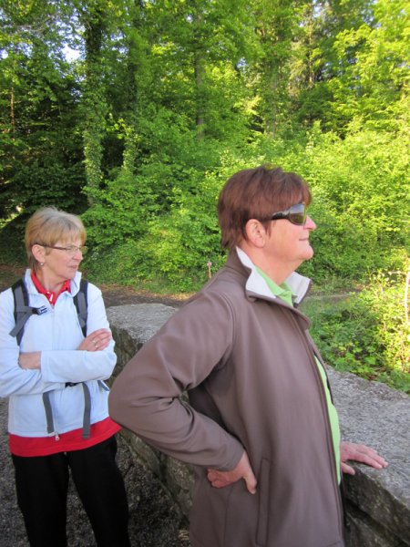 Landeswandertag
