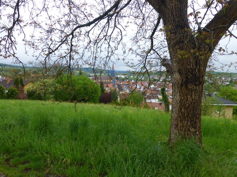 Landeswandertag