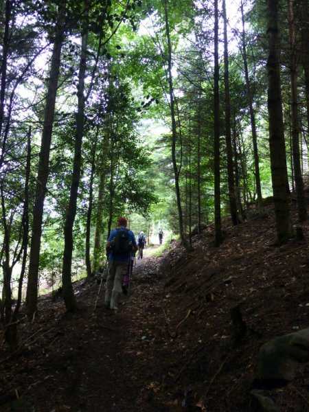 Bernsteinwanderung
