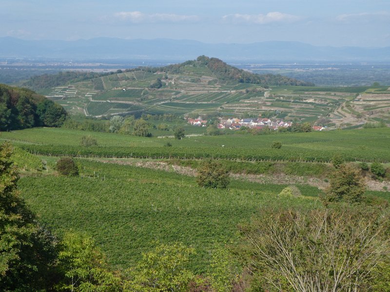 Kaiserstuhlwanderung
