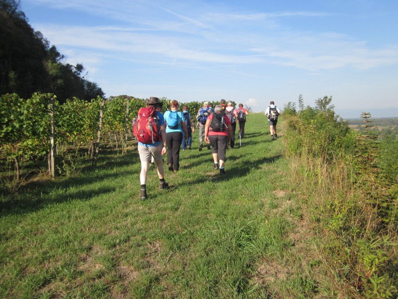 Kaiserstuhlwanderung