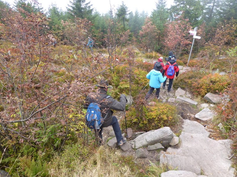 Herbstwanderung
