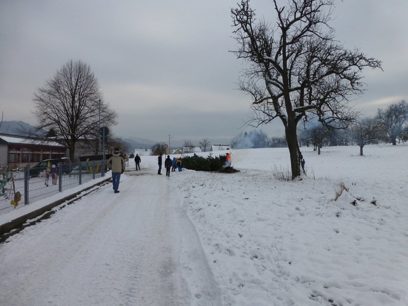 Christbaumsammelaktion