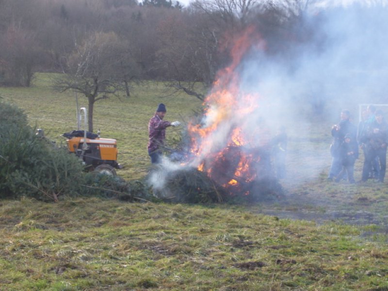 Christbaumsammelaktion