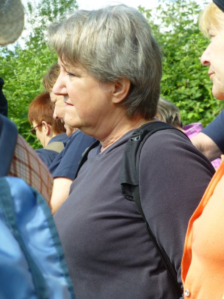 Landeswandertag
