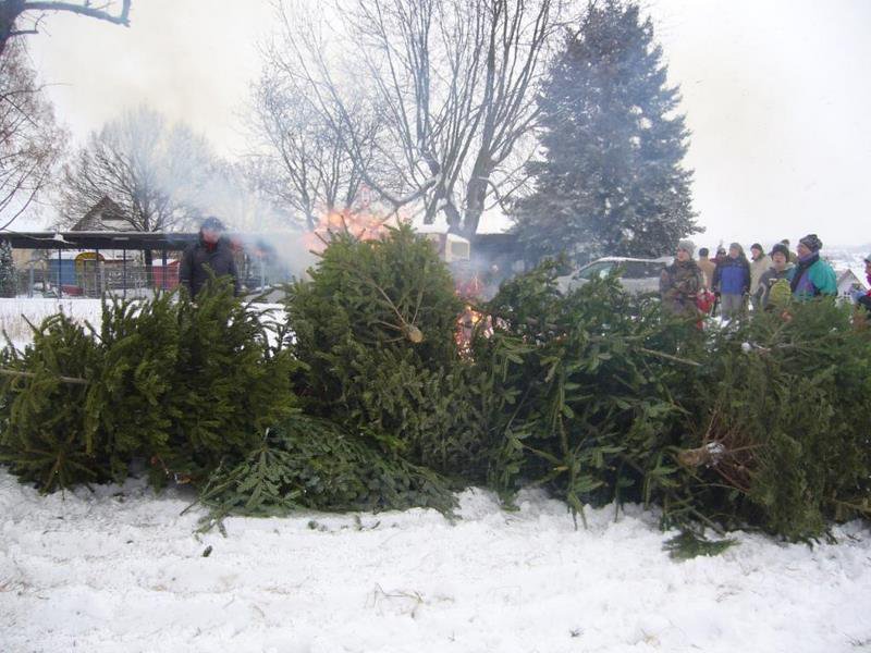 Christbaumsammelaktion