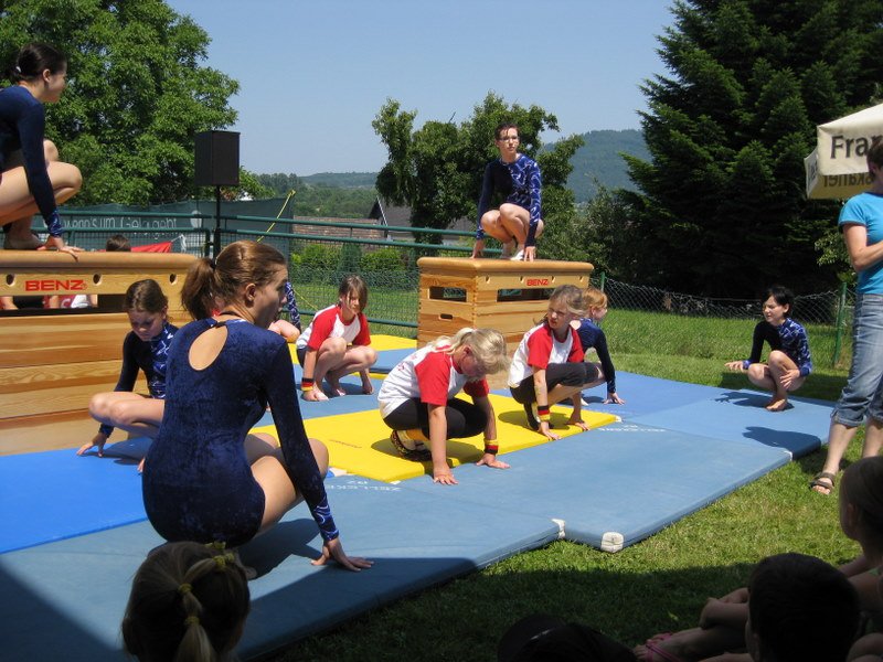 2010 Sommerfest