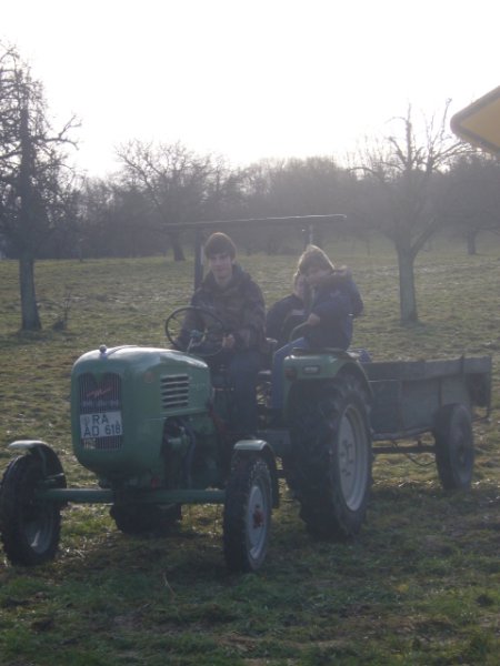 Christbaumsammelaktion