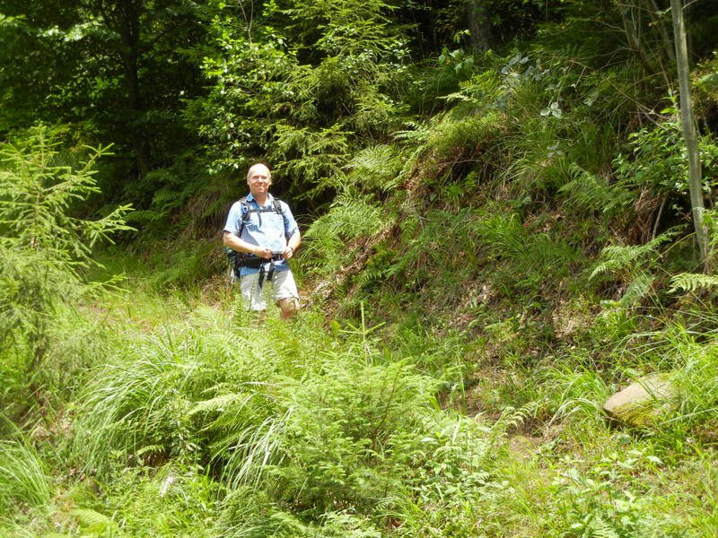 Bernsteinwanderung
