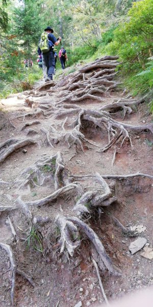 Wanderwochenende