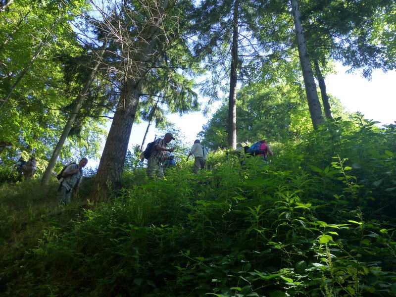 Sommerwanderung