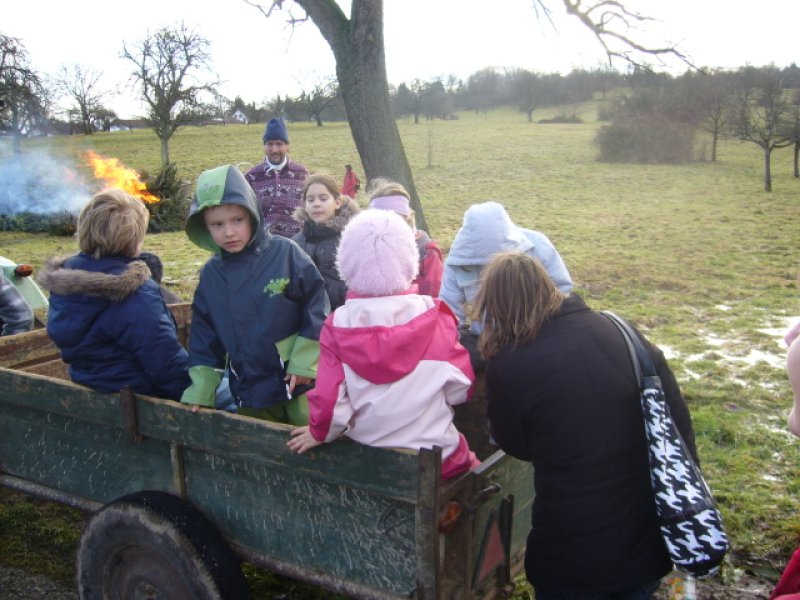 Christbaumsammelaktion