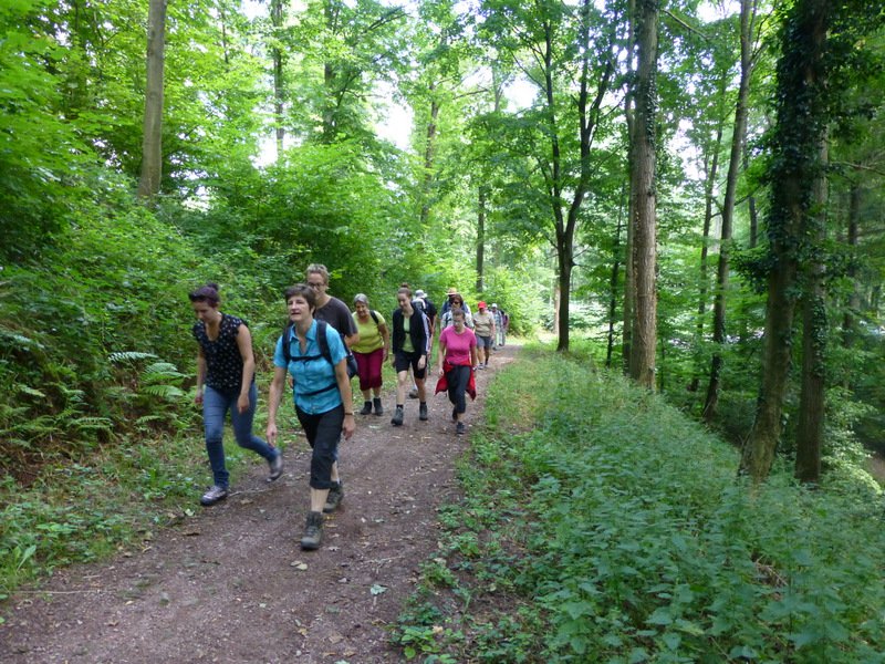 Wandern